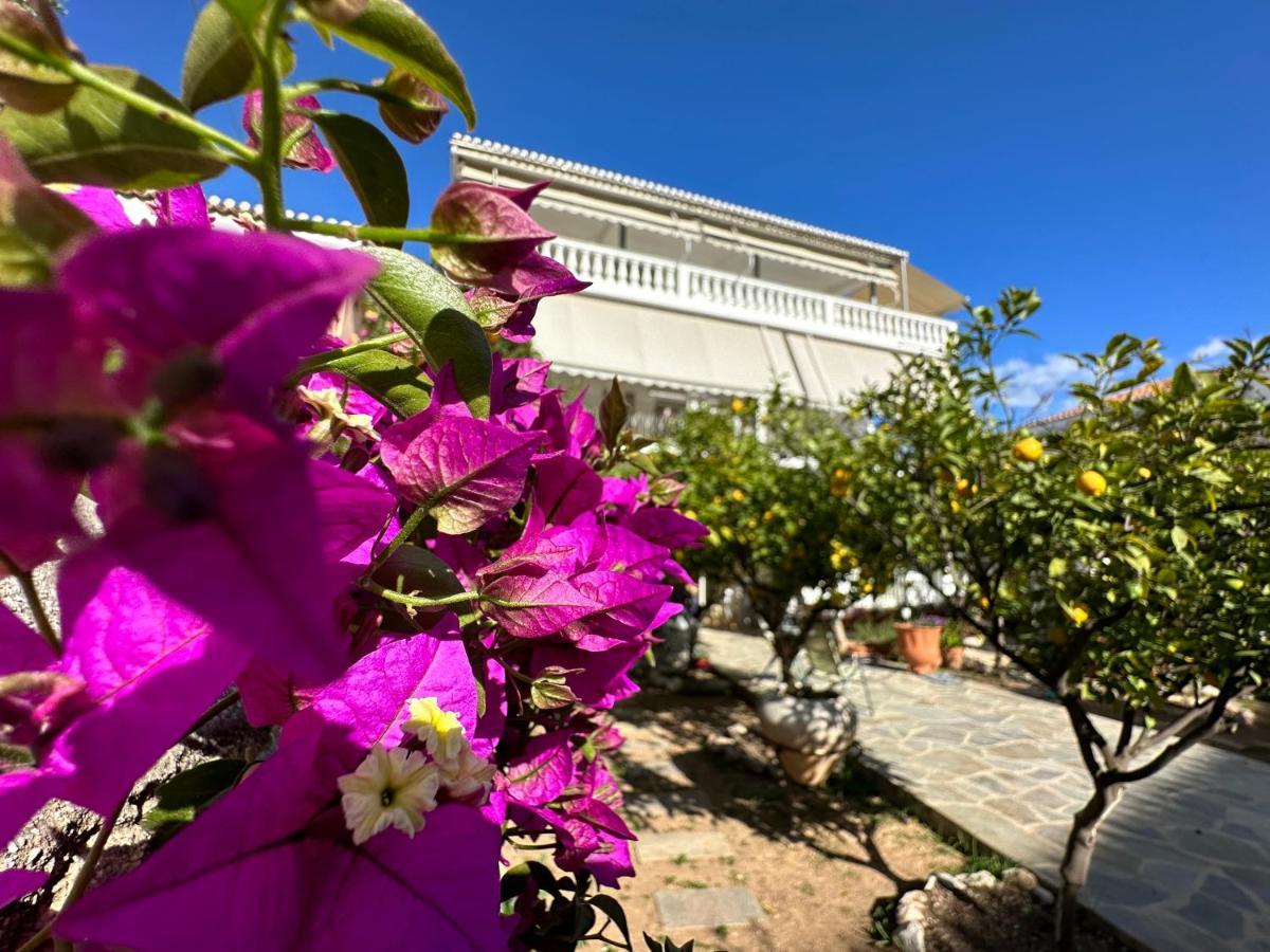 Kamelia Hotel Spetses Town Ngoại thất bức ảnh